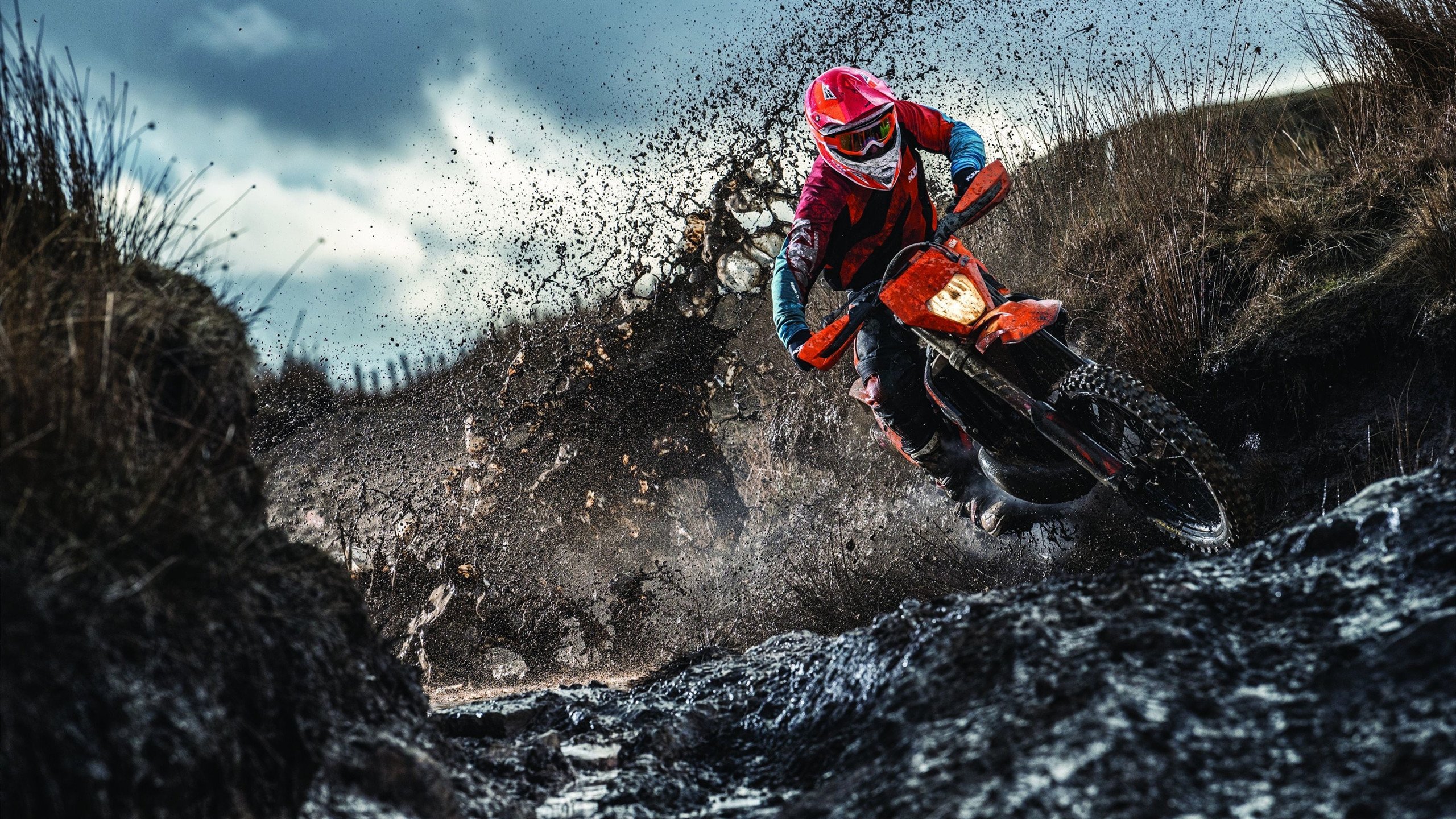 未来热门车手：谁可能成新一代焦点？，未来车介绍